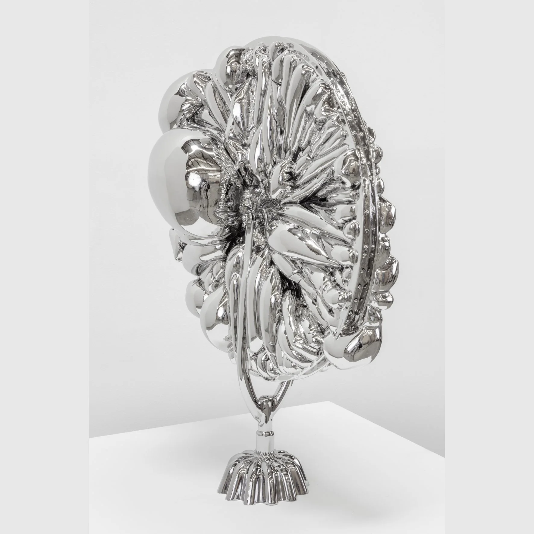 Joel Morrison — Alon Segev